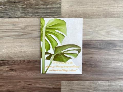 Kanova Studios 卡諾瓦工作室 - 海報設計