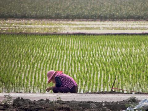 陳瑩瑄（小呆瓜） - 
