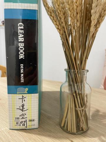 提供插座移位服務的專家青埔小李