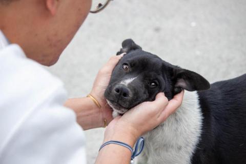 劉星妤 -  劉星妤 -