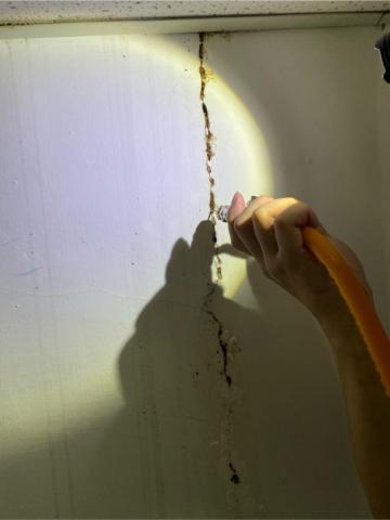 點點蟲病媒醫生👨‍⚕️ - 針對裂縫處用低壓關注（白蟻）