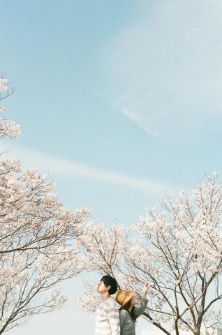熊可晴 - 2018，大阪府，櫻花季