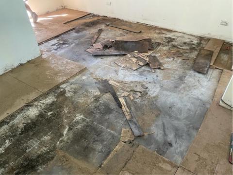 聖辰地板設計(塑膠地板代工達人賴桑) - 木地板爛掉了 聖辰地板設計(塑膠地板代工達人賴桑) - 木地板爛掉了