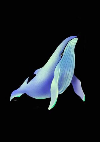 劉芊芊 - procreate 數位圖片