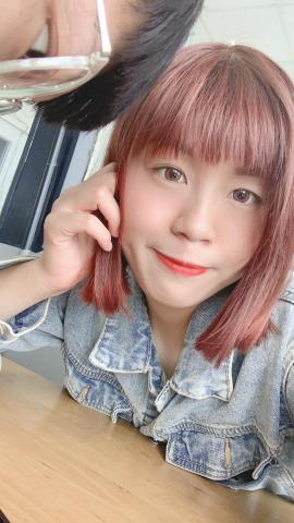 提供導遊服務的專家未命名公司