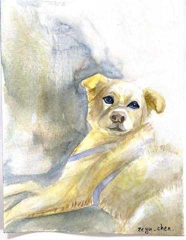 陳則諭 - 明信片作品