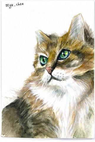 陳則諭 - 明信片作品