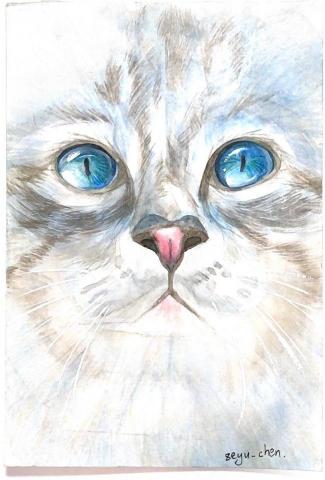 陳則諭 - 明信片作品