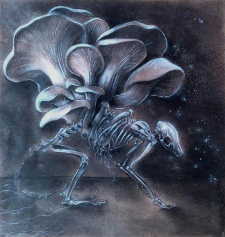 因因乎 - 素描手繪