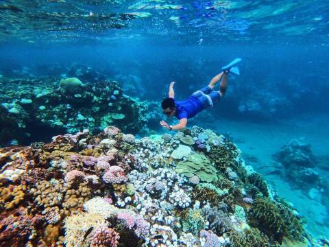 謝孟桓 - 蘭嶼游泳浮潛團