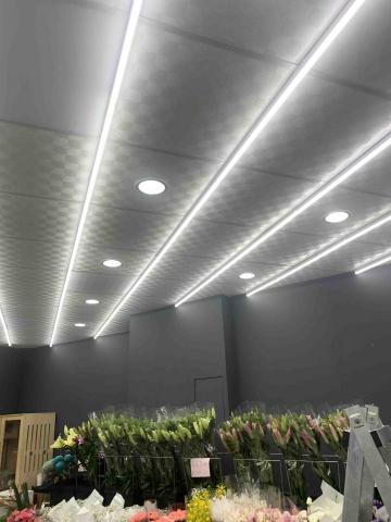 陳凱倫 - 電燈安裝