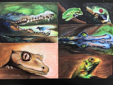 Leo Yang - 麥克筆素描 兩棲爬蟲類