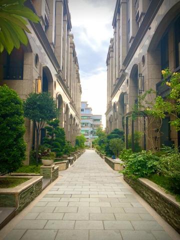 我是世上的鹽 -  我是世上的鹽 -