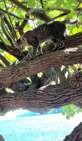 我是世上的鹽 -  我是世上的鹽 -