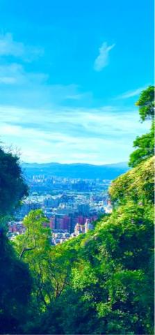 我是世上的鹽 -  我是世上的鹽 -