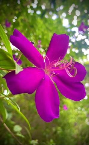 我是世上的鹽 -  我是世上的鹽 -