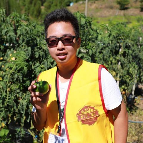 提供奧數服務的專家楊鎮謙