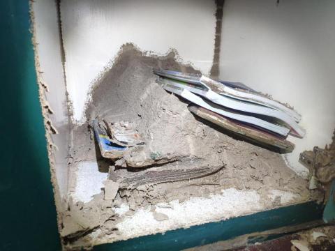 點點蟲病媒醫生 - 