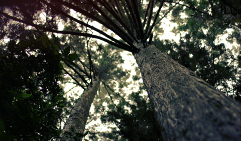 鎧旭 - 用50mm拍出廣角的感覺