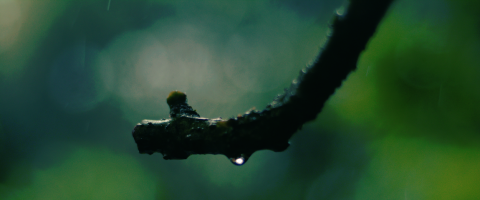 鎧旭 - 快門1000時，你會看到另一個是界