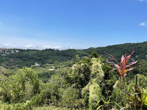 提供排版編輯服務的專家張熠翔