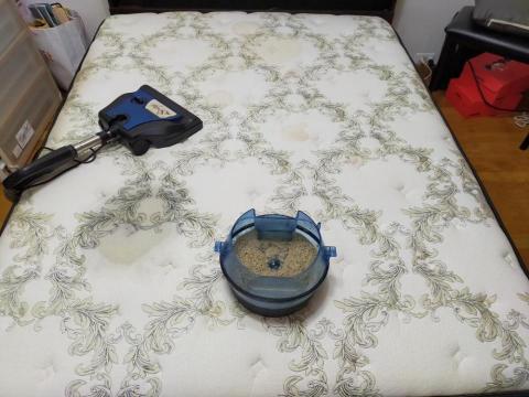 家立潔專業清潔 - 床清洗前 家立潔專業清潔 - 床清洗前