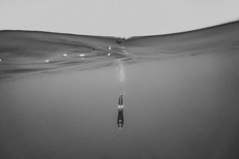 Wus Photo - immersion 