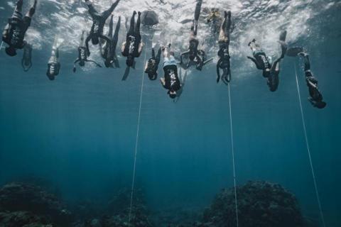 Wus Photo - oceanholic 