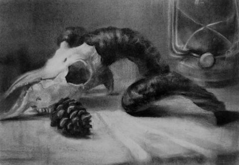 Shain - 炭筆-考題