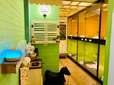 安佐樂寵物精緻造型美容旅館 - 