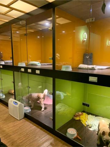 安佐樂寵物精緻造型美容旅館 - 