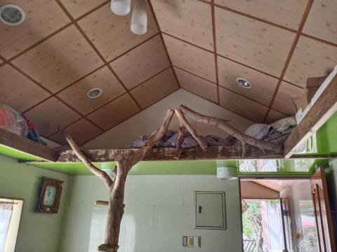 耘中輕鋼架工程 - 木紋骨架  櫻桃木紋石膏板  營造出小木屋的風格