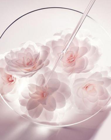 提供化妝品收納盒服務的專家歐妮妮妝品開發行銷顧問專家