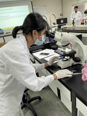 提供翻译u服務的專家洪梓恩