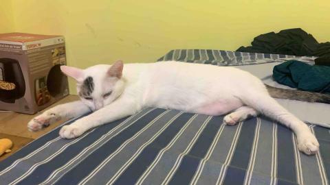 塗靖潔 - 家裡的寶貝٩(˃̶͈̀௰˂̶͈́)و