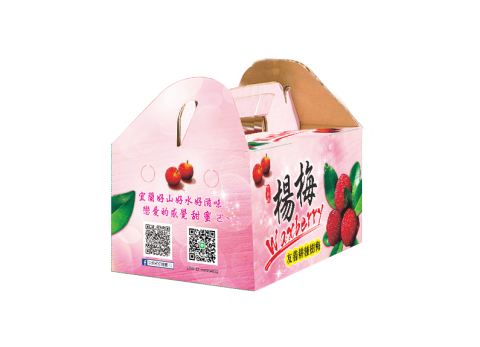 承翔創意視覺設計 - 范叔叔楊梅提盒