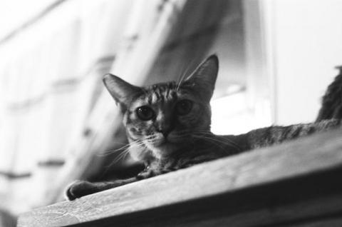 廣小大娛樂 - Photo 