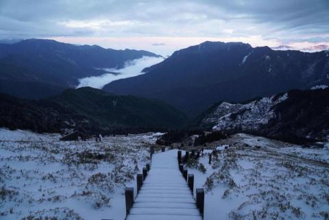 提供momo包包服務的專家彤