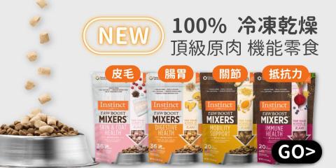 龍個人工作室 - Banner