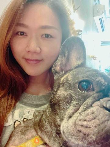 提供住宿服務的專家windy毛小孩照顧