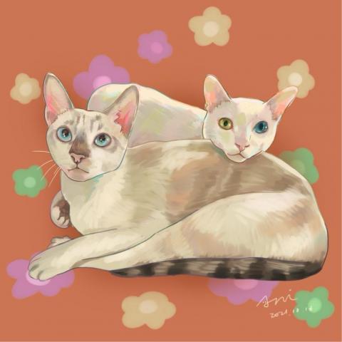 Ani猊-設計/logo/寵物肖像 - 寵物肖像