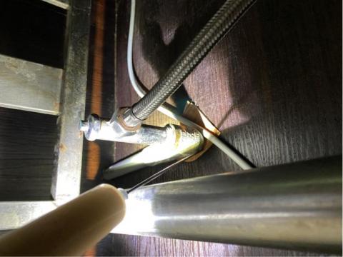 象勤環境消毒工作室 - 蟑螂防治