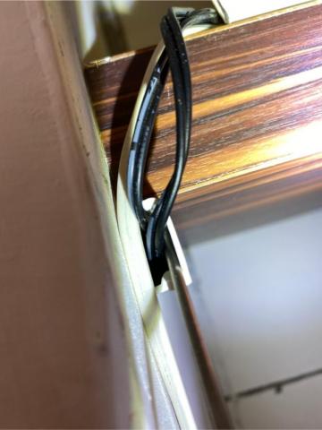 象勤環境消毒工作室 -  蟑螂防治