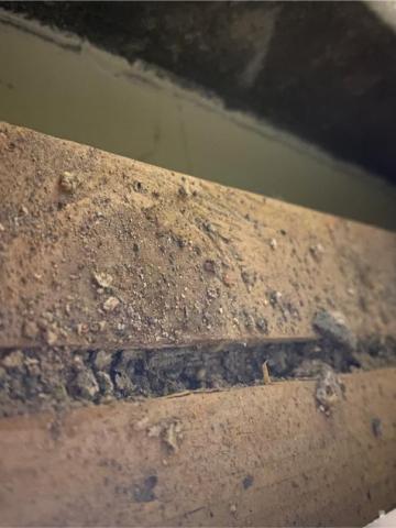 象勤環境消毒工作室 - 白蟻防治-角材蟻道