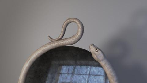 The Heads Studio - 3d設計建模及渲染