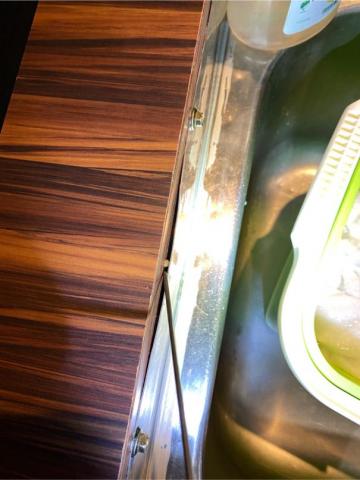 象勤環境消毒工作室 - 蟑螂防治