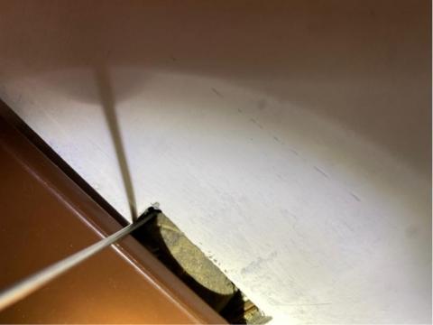 象勤環境消毒工作室 - 蟑螂防治