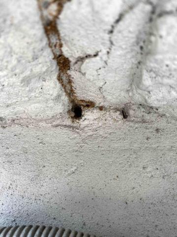 象勤環境消毒工作室 - 白蟻防治-入侵點