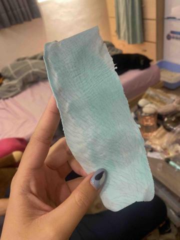 可驊 - 除毛過程