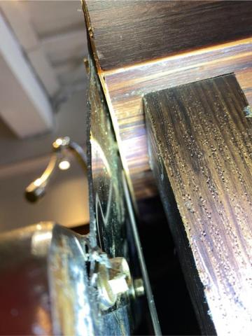 象勤環境消毒工作室 - 蟑螂防治